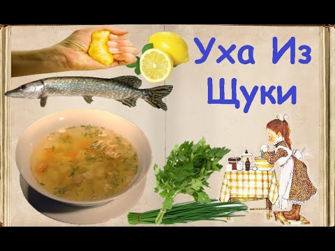 Уха Из Щуки / Книга Рецептов / Bon Appetit