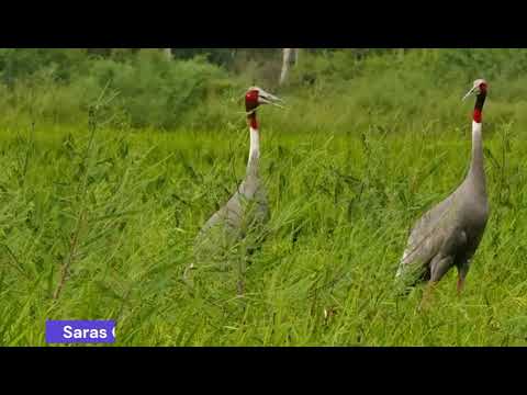 Bhuj tour by Gururaj Sastry and Friends
