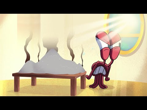 The neighbor | NEW The Adventures of Bernie | Zig & Sharko - Cartoons for Kids