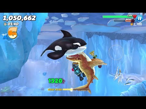 Tiger Shark Live Contest (Most Gold in Arctic Ocean) - Hungry Shark World