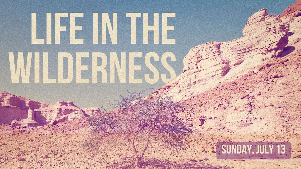 Life in the Wilderness | When Worship Feels Out of Place