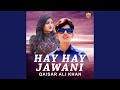 Hay Hay Jawani