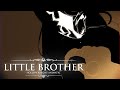 Little Brother Hollow Knight FW Warning