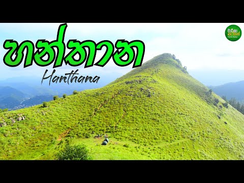 Hanthana Hike - Travel Vlog 82