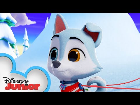 Sled Pup ❄️?  | T.O.T.S. | @Disney Junior