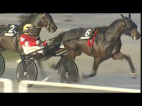 Napoli Trotto 20/01/2023 - 5ª corsa