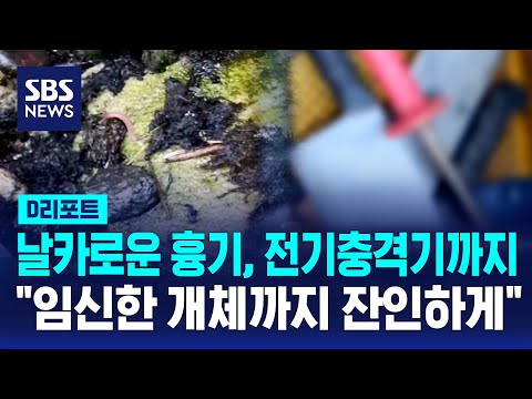 흑염소 5백마리 불법 도축…염소즙으로 가공 판매 / SBS / #D리포트