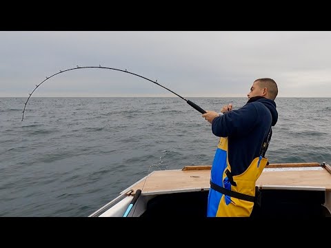 Sea Fishing UK - Coastal Fishing in Cornwall - I have never seen this before!!!  | The Fish Locker