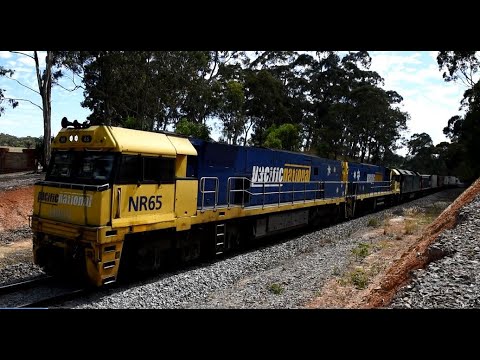 Pacific National 2MP5 NR65 NR112 G538 Blakiston, South Australia 11th January 2022