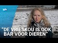 Verzwakte en onderkoelde dieren opgevangen bij de dierenopvang