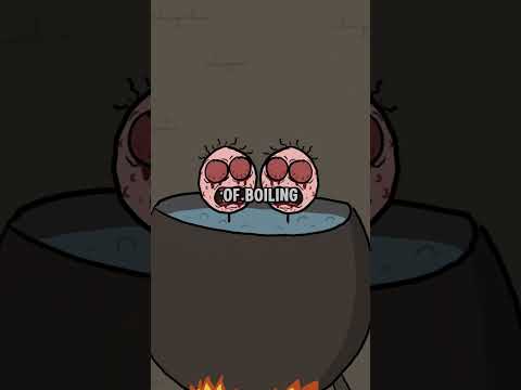 Josef Mengele - The Angel of Death and His Horrifying Experiments #knowledge #Explore