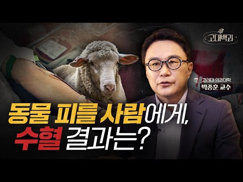 동물 피를 사람에게 수혈!? 인류의 염원 수혈에 숨겨진 역사 | 박종훈 교수 | 고대백과 EP 12