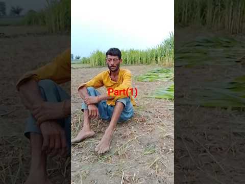 Simple People - Blessed Are The Believers | Anne Murray Reggae Cover |  🇸🇧🌴🎵