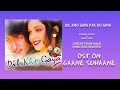Dil Kho Gaya Kya Ho Gaya Dil Kho Gaya 1998