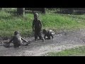 Мама прости... 