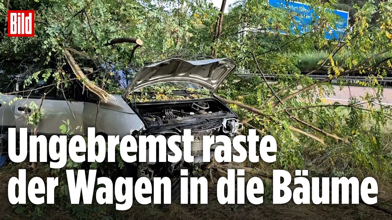 TRAGÖDIE AUF DER AUTOBAHN: Autofahrer rast in Wald und stirbt noch am Unfallort