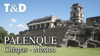 Palenque Tourist Guide 🇲🇽 Mexico Video Guide