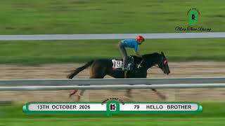 Perak Turf Club | Race 8 Track Work Preview | 18 October 2026
