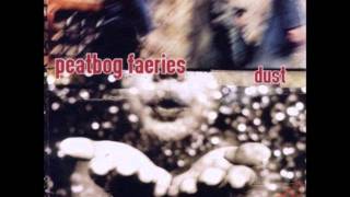 Peatbog Faeries - The Naughty Step