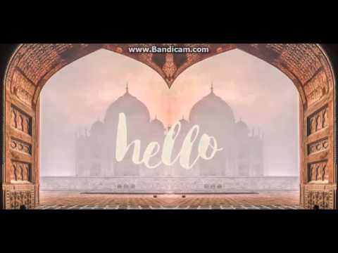 Adele - Hello (Paul Damixie remix)