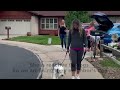 Play Video: Before and After: Leash Walking