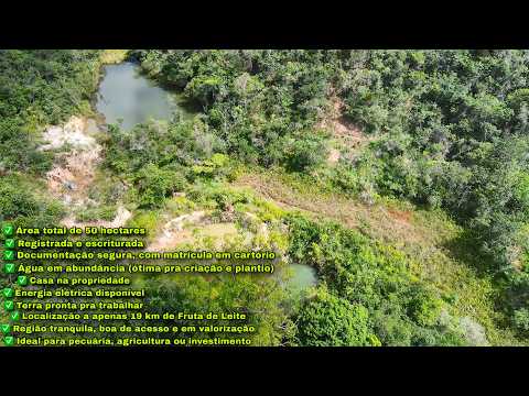 FAZENDA DE 50 HECTARES COM ESCRITURA! AGUA EM ABUNDANCIA, ENERGIA E CASA! PRONTA PRA PRODUZIR