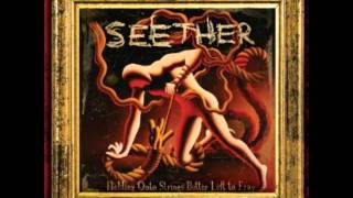 Seether - Dead Seeds (w/ lyrics)