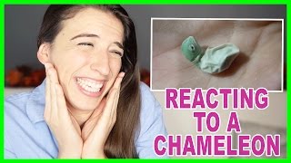 Reacting to a Chameleon Birth