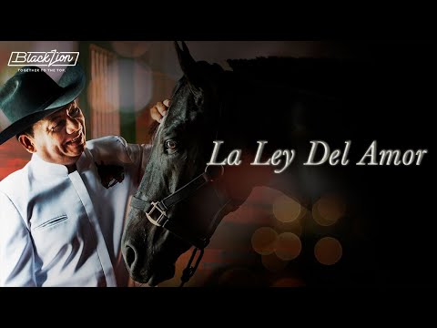 La Ley Del Talion - Aries Vigoth