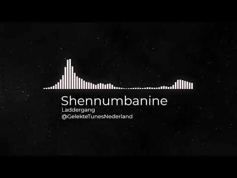 Shennumbanine - laddergang