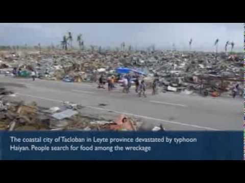 Typhoon Haiyan survivors desperate for food