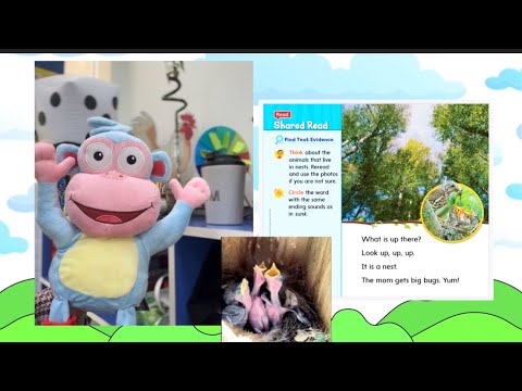 Reading , The Best Spot , wonders , unit 2 