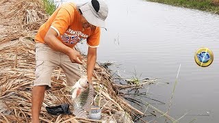 PESCA de TILAPIAS con Línea de Mano