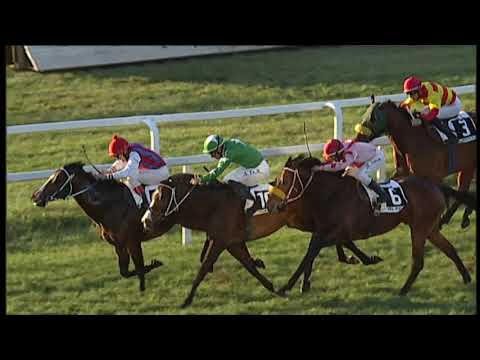 2019-12-12 Corsa 5 Metri 1200 Premio Guido Reni