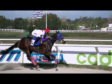 230518 c05 - QUE DOMINGO - HIPODROMO LAS PIEDRAS - PREMIO: ESPECIAL REY DE LA RECTA