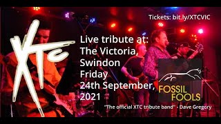Dear Madam Barnum (XTC Cover)  - Fossil Fools (XTC Tribute) - Live In Swindon, 2021