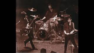 Mission of Burma - The Electro Acoustic Sessions (10-1980)