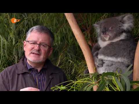 Die Australien-Saga mit Christopher Clarke - Teil 2 (22.05.2016)