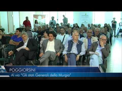 POGGIORSINI AL VIA GLI STATI GENERALI DELLA MURGIA - servizio Teleregione