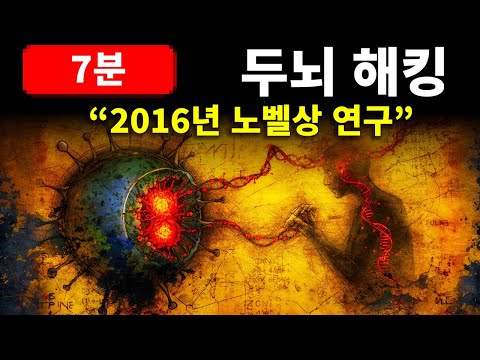 MIT의 7분 "단식 호흡"으로 자가포식 유발 (다이어트 필요 없음) - YouTube
