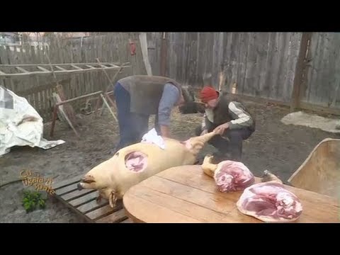 Cu tigaia-n spate: taiatul porcului la Fildu de Sus, jud. Salaj