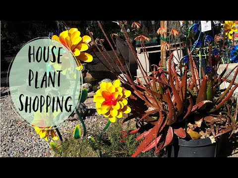 , title : 'Come Plant Shopping With Me - Whitfill Nursery Visit'
