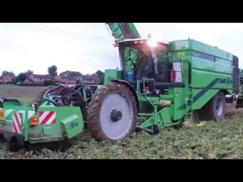 aardappelen rooien 2015, potato harvest, arrachage pommes de terre, loonwerken Cattebeke,  AVR puma3