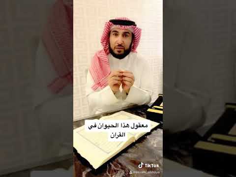 معنى قوله تعالى  "  وَإِنَّ الدَّارَ الْآخِرَةَ لَهِيَ الْحَيَوَانُ ۚ " 