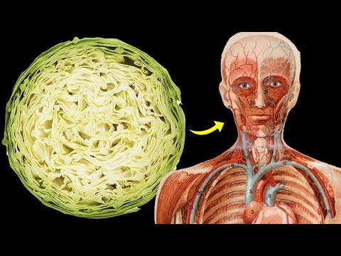 O que acontece com seu corpo quando você come repolho todos os dias