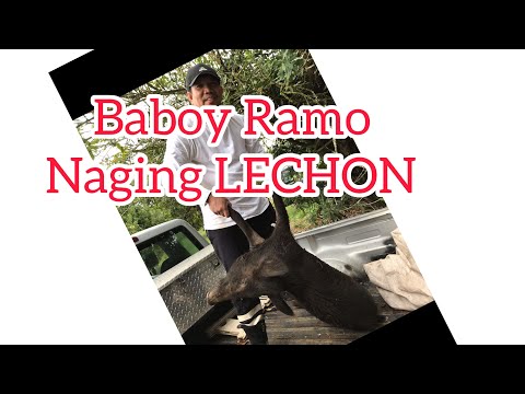 Baboy Ramo=LECHON //BisayangOrig