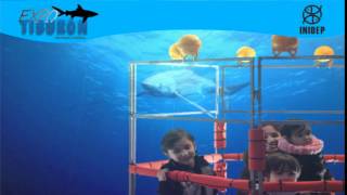 DIA 2 Expo Tiburon32