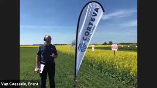 Corteva Agriscience Breeding Program - Canola