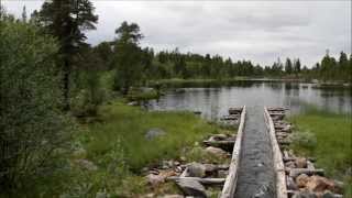 Femund - Røros i Kano (Synnervika - Røros). Tømmerrenna 2013