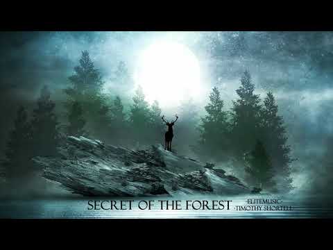 Timothy Shortell and EliteMusic - Secret of the Forest